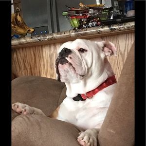 Meet your Posher, Angie